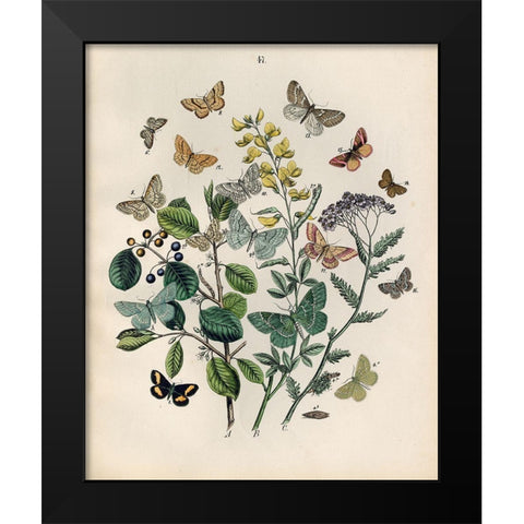 Papillion - Butterflies Black Modern Wood Framed Art Print by Art Licensing Studio