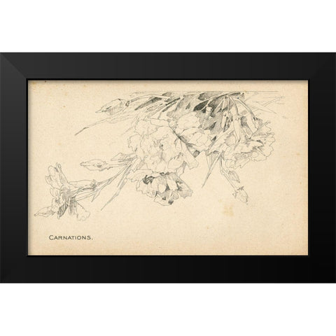 Carnations Black Modern Wood Framed Art Print by Art Licensing Studio