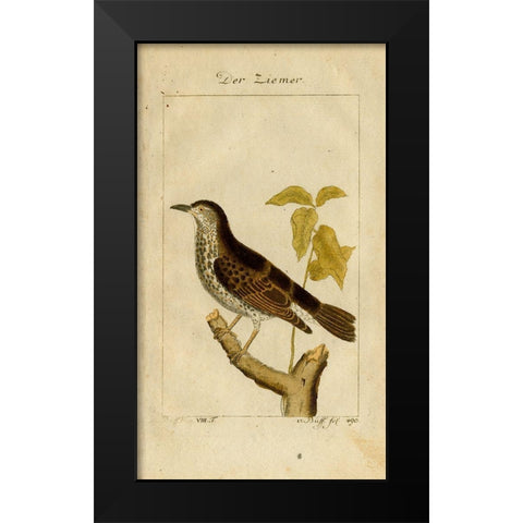 Der Ziemer Black Modern Wood Framed Art Print by Art Licensing Studio