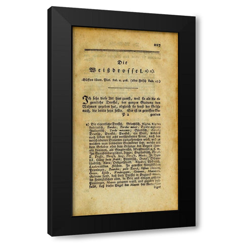 Die Weibdroffel Black Modern Wood Framed Art Print with Double Matting by Art Licensing Studio