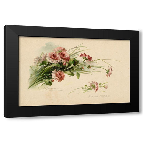 Double Daisies Color Black Modern Wood Framed Art Print by Art Licensing Studio