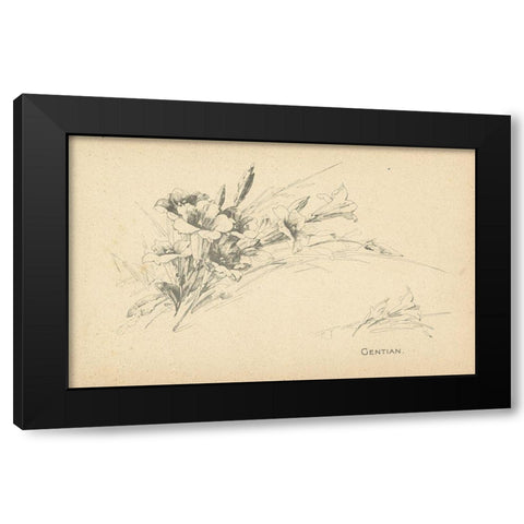 Gentian Black Modern Wood Framed Art Print by Art Licensing Studio