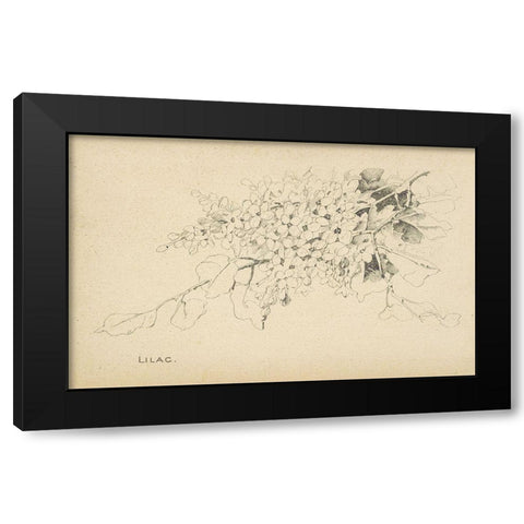 Lilac Black Modern Wood Framed Art Print by Art Licensing Studio