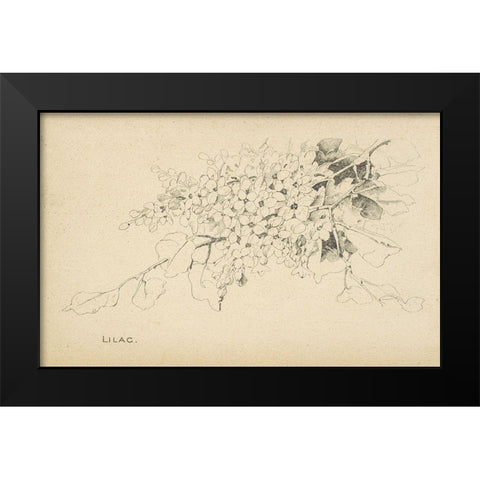 Lilac Black Modern Wood Framed Art Print by Art Licensing Studio