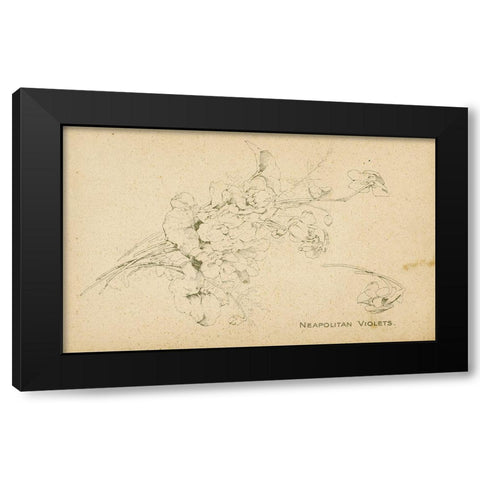 Neapolitan Violets Black Modern Wood Framed Art Print with Double Matting by Art Licensing Studio