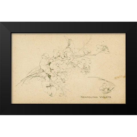 Neapolitan Violets Black Modern Wood Framed Art Print by Art Licensing Studio