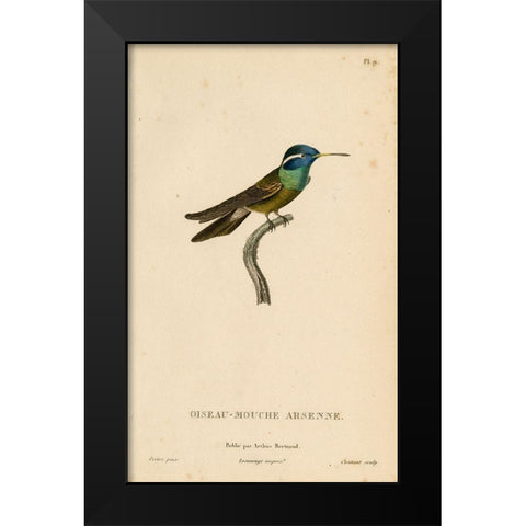 Oiseau-Mouche Arsenne Black Modern Wood Framed Art Print by Art Licensing Studio