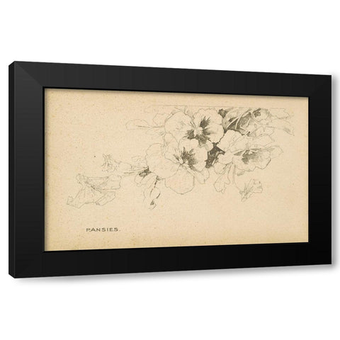 Pansies Black Modern Wood Framed Art Print by Art Licensing Studio
