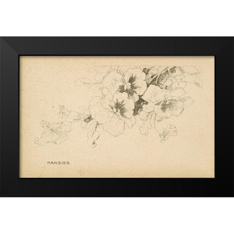 Pansies Black Modern Wood Framed Art Print by Art Licensing Studio