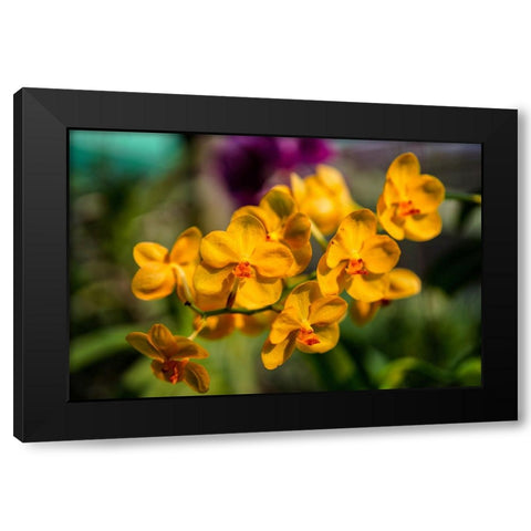 Thailand - 85 Black Modern Wood Framed Art Print with Double Matting by Heine, Ben