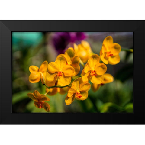 Thailand - 85 Black Modern Wood Framed Art Print by Heine, Ben