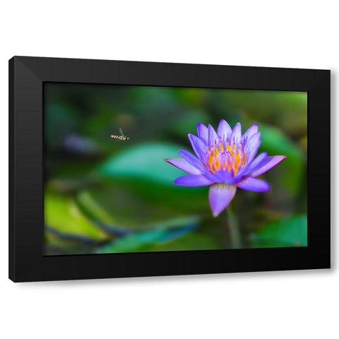 Thailand 2 - 214 Black Modern Wood Framed Art Print by Heine, Ben