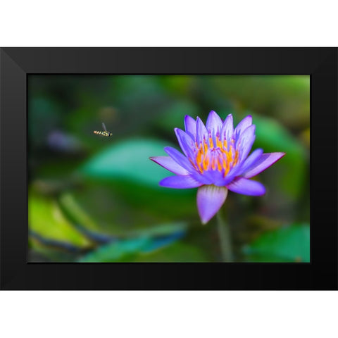 Thailand 2 - 214 Black Modern Wood Framed Art Print by Heine, Ben