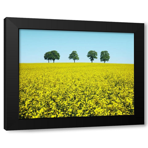 Brothers Black Modern Wood Framed Art Print with Double Matting by Heine, Ben