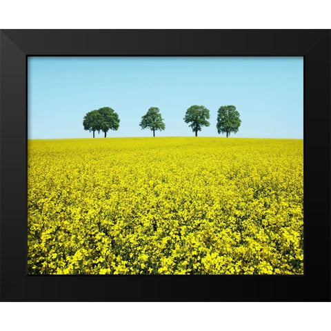 Brothers Black Modern Wood Framed Art Print by Heine, Ben