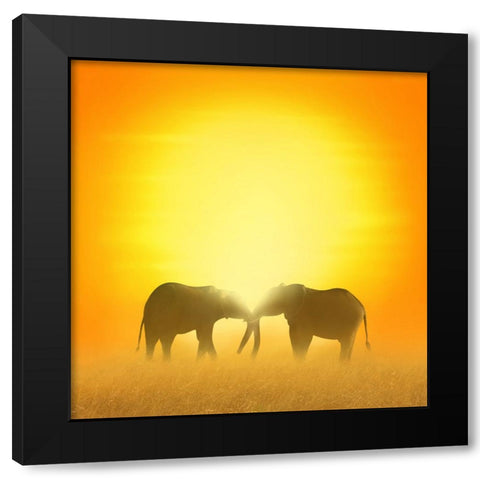 In Love Black Modern Wood Framed Art Print with Double Matting by Heine, Ben