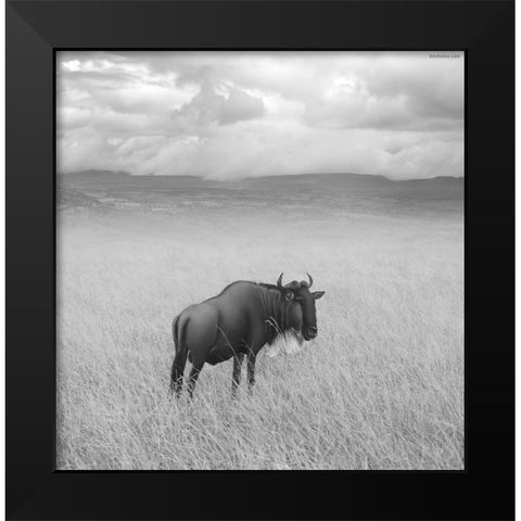 Once Upon a Time in Kenya - 4 Black Modern Wood Framed Art Print by Heine, Ben