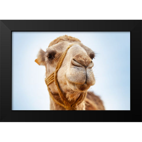 Tunisia 28 Black Modern Wood Framed Art Print by Heine, Ben