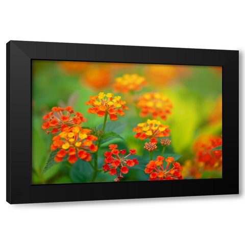 Tunisia 58 Black Modern Wood Framed Art Print with Double Matting by Heine, Ben