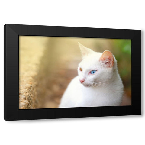 Tunisia 69 Black Modern Wood Framed Art Print by Heine, Ben