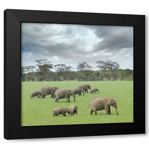 We Are Family 2 Black Modern Wood Framed Art Print with Double Matting by Heine, Ben