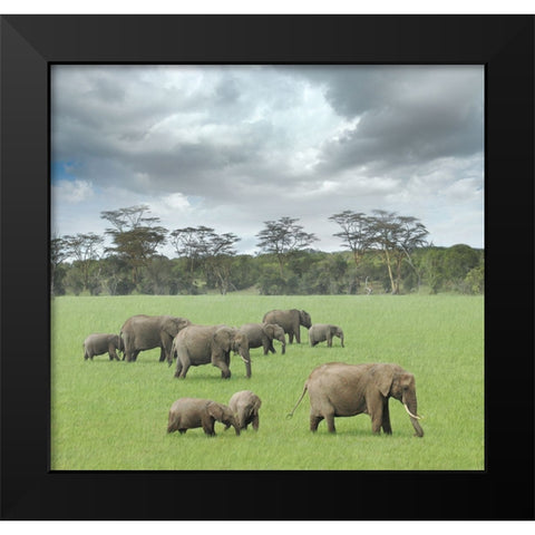We Are Family 2 Black Modern Wood Framed Art Print by Heine, Ben