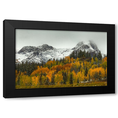 A Rocky Mountain Autumn Black Modern Wood Framed Art Print with Double Matting by Sherrell, Bill