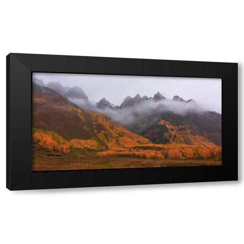 A Walk In The Autumn Mist Black Modern Wood Framed Art Print with Double Matting by Sherrell, Bill