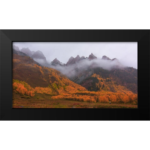 A Walk In The Autumn Mist Black Modern Wood Framed Art Print by Sherrell, Bill