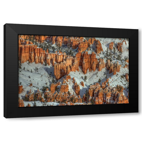 Color In The Snow Black Modern Wood Framed Art Print with Double Matting by Sherrell, Bill