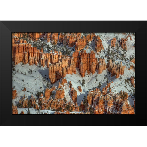 Color In The Snow Black Modern Wood Framed Art Print by Sherrell, Bill
