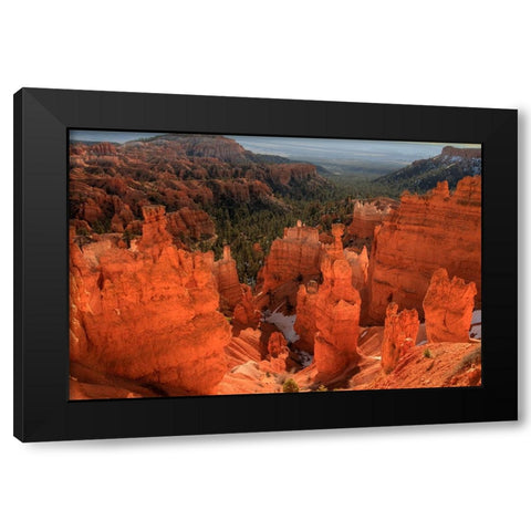 Illumination Black Modern Wood Framed Art Print with Double Matting by Sherrell, Bill