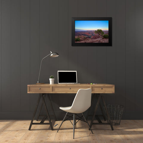 Lone Tree At Dead Horse Point Black Modern Wood Framed Art Print by Sherrell, Bill