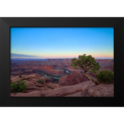 Lone Tree At Dead Horse Point Black Modern Wood Framed Art Print by Sherrell, Bill