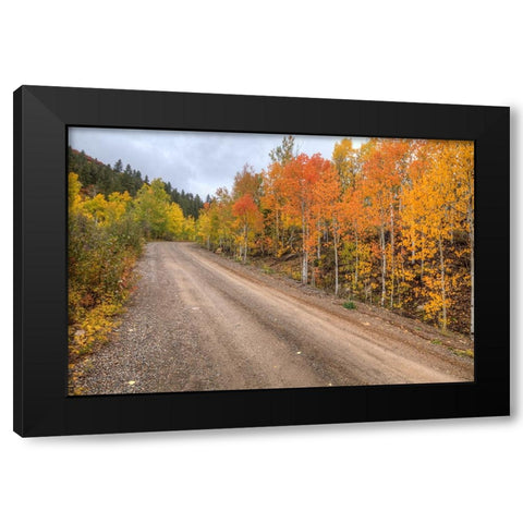 The Road To Color Black Modern Wood Framed Art Print by Sherrell, Bill