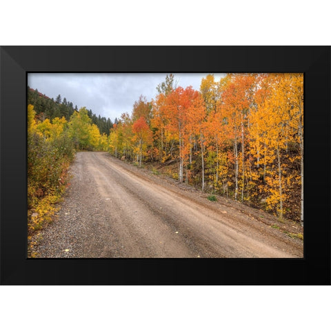 The Road To Color Black Modern Wood Framed Art Print by Sherrell, Bill