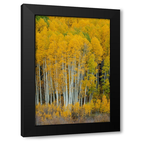 United We Stand 2 Black Modern Wood Framed Art Print by Sherrell, Bill