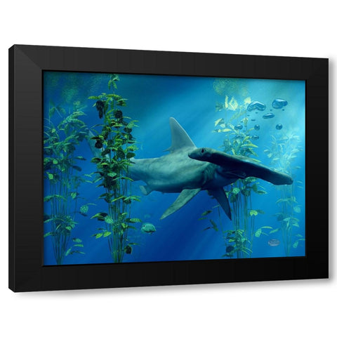 Hammerhead Black Modern Wood Framed Art Print with Double Matting by Eskridge, Daniel