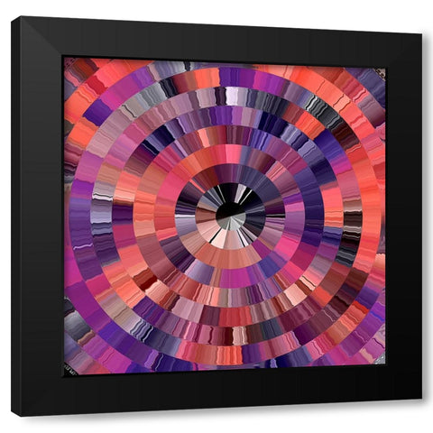 Coral Radial 2 Black Modern Wood Framed Art Print with Double Matting by Manlove, David