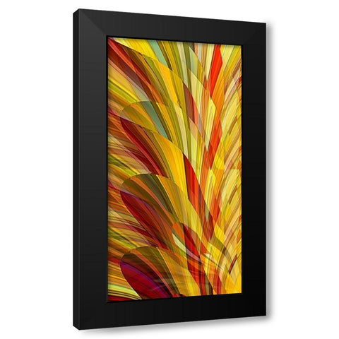Flower Petals Black Modern Wood Framed Art Print by Manlove, David