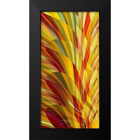 Flower Petals Black Modern Wood Framed Art Print by Manlove, David