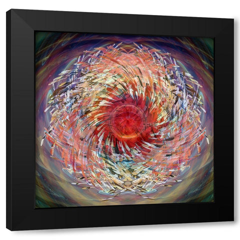 Cosmic Helicopter Seeds Black Modern Wood Framed Art Print with Double Matting by Manlove, David