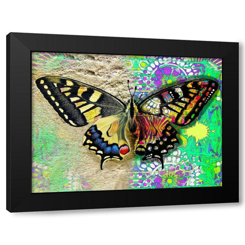 Exposed Butterfly Black Modern Wood Framed Art Print with Double Matting by Dean Russo Collection