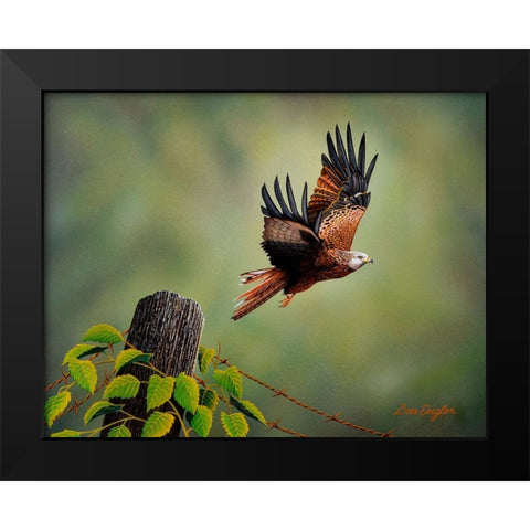 Red Kite Black Modern Wood Framed Art Print by Engler, Don