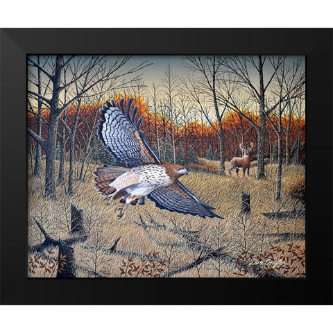 Red-Tailed Hawk Black Modern Wood Framed Art Print by Engler, Don