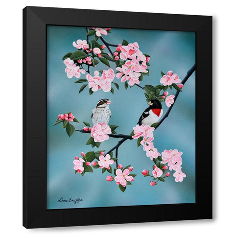 Red-breasted Grosbeaks Black Modern Wood Framed Art Print with Double Matting by Engler, Don