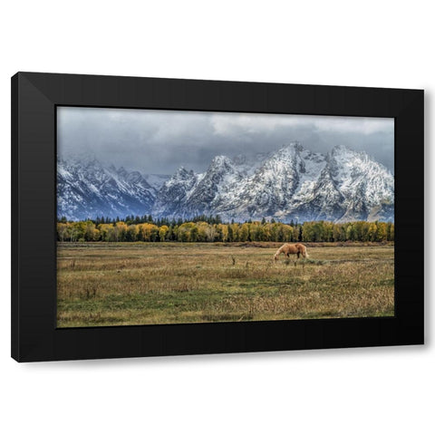 Fine Dining In The Tetons Black Modern Wood Framed Art Print with Double Matting by Galloimages Online