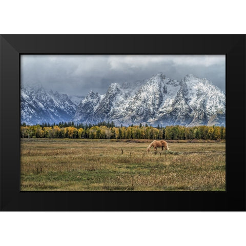 Fine Dining In The Tetons Black Modern Wood Framed Art Print by Galloimages Online