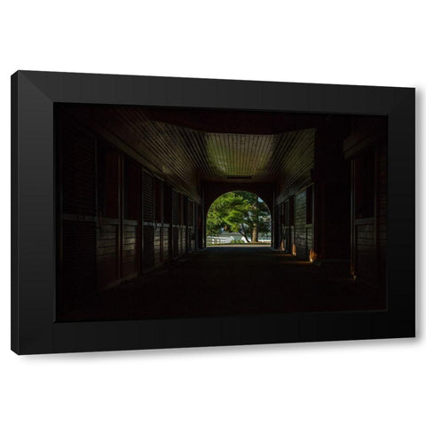 Horse Farm Barn (Inside And Out) Black Modern Wood Framed Art Print with Double Matting by Galloimages Online