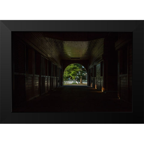 Horse Farm Barn (Inside And Out) Black Modern Wood Framed Art Print by Galloimages Online